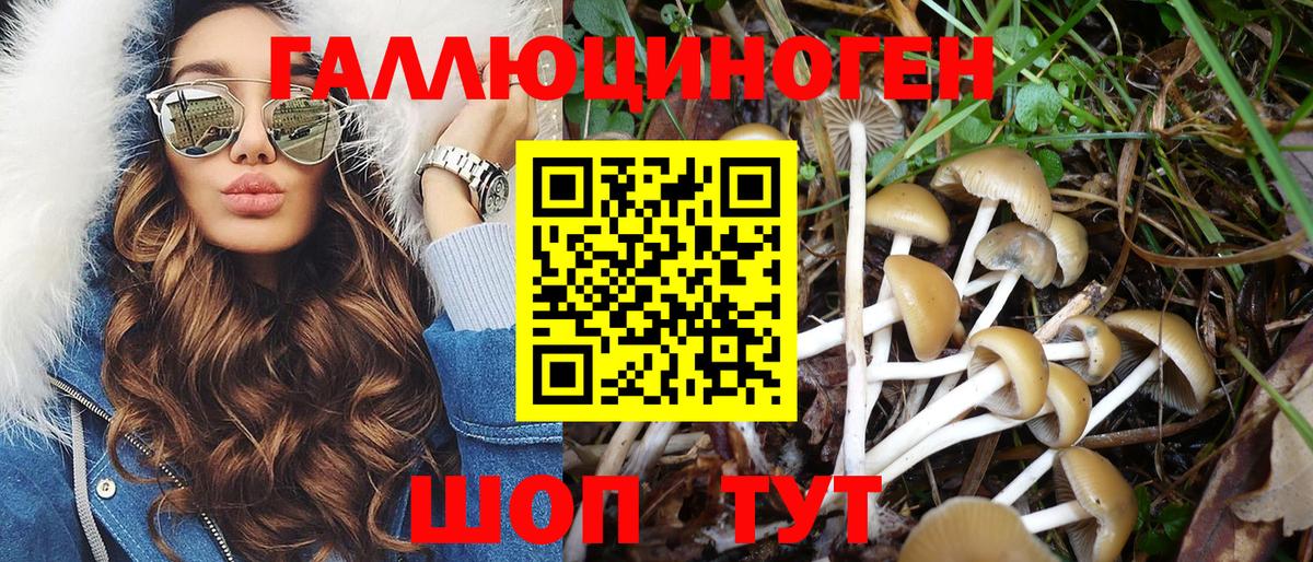 Верхний Уфалей  Галлюциногенные грибы мицелий  Вход с VPN 